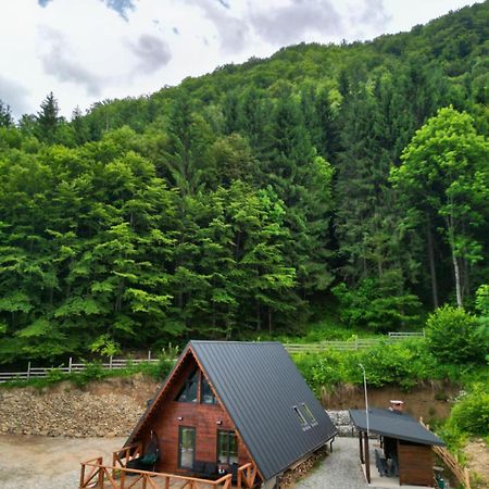 Wild Cabin Malaia Extérieur photo