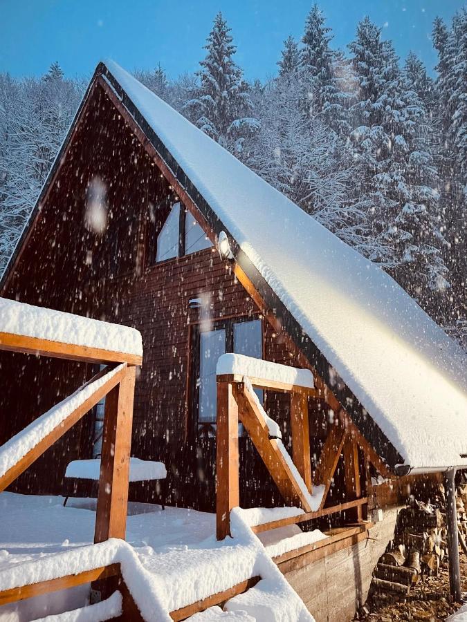 Wild Cabin Malaia Extérieur photo