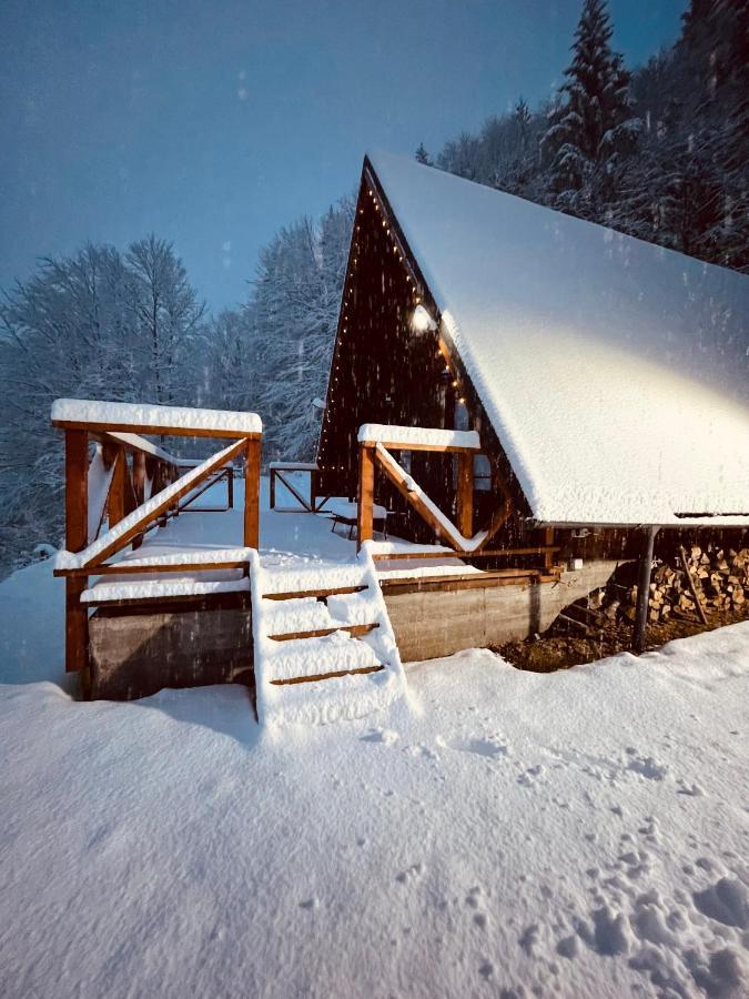 Wild Cabin Malaia Extérieur photo