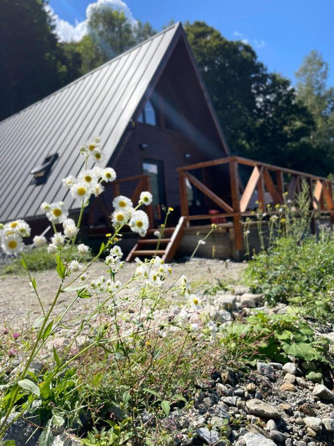 Wild Cabin Malaia Extérieur photo