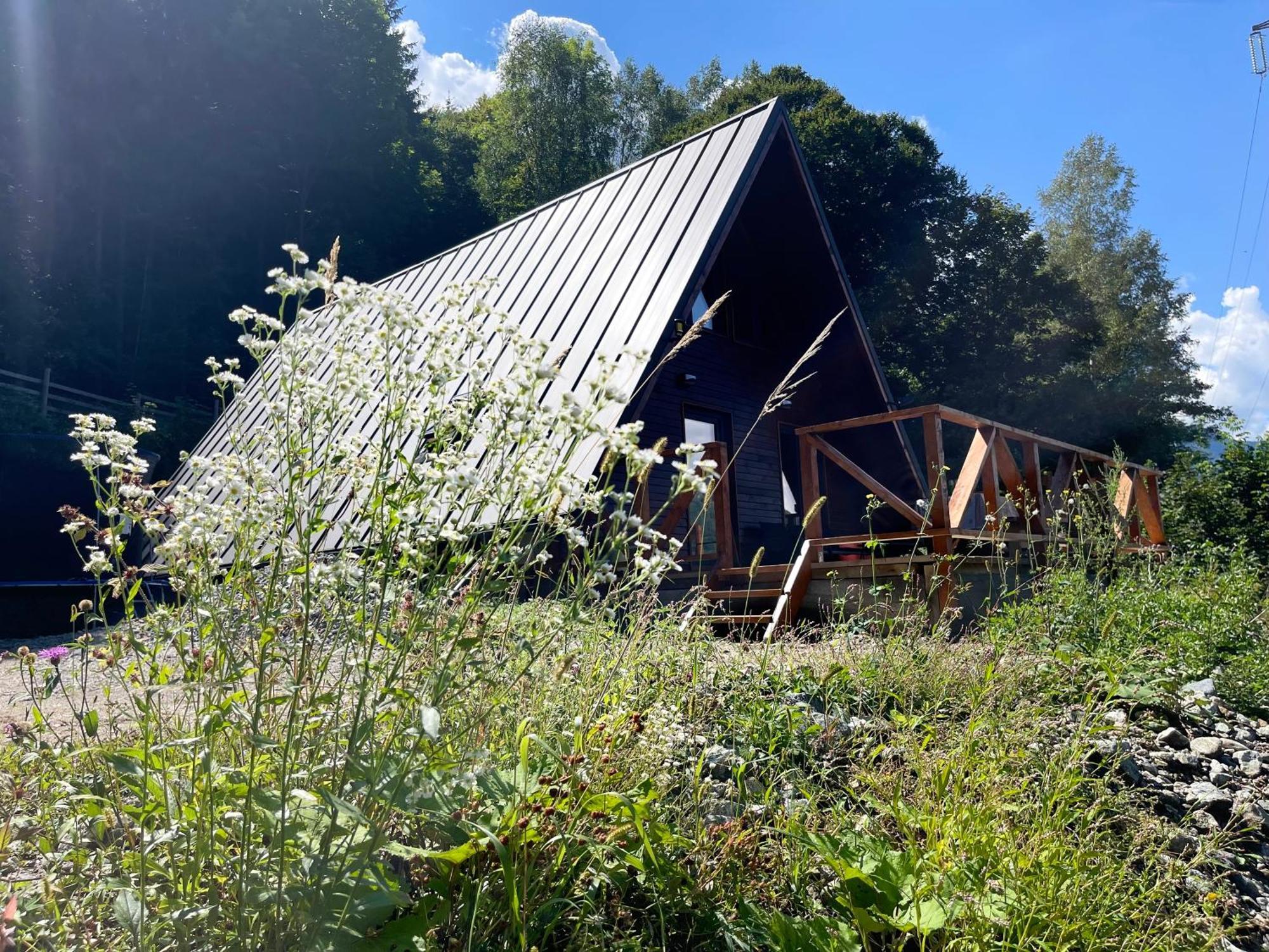 Wild Cabin Malaia Extérieur photo