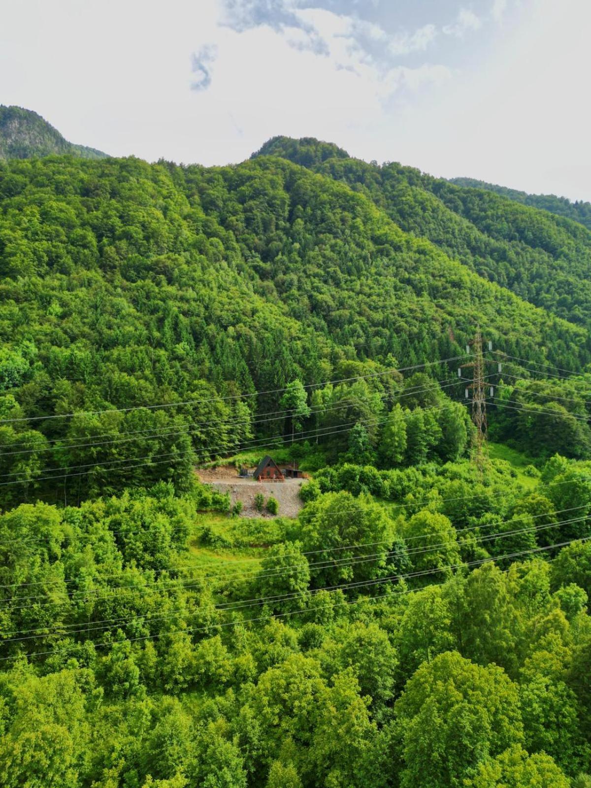 Wild Cabin Malaia Extérieur photo
